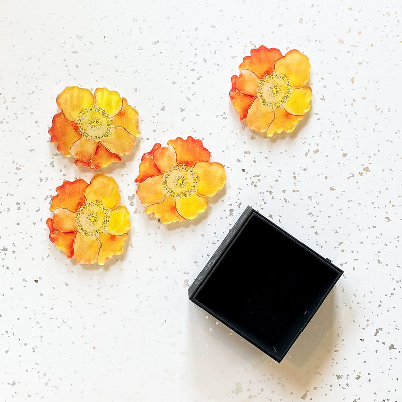 "DULANEY" FLORAL COASTER SET IN ORANGE