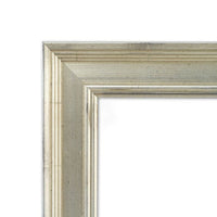 NEW SILVER FRAMING