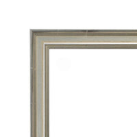 NEW SILVER FRAMING